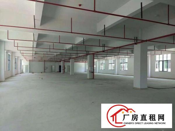 
横岗安良新出独院10800平2777平厂房出租