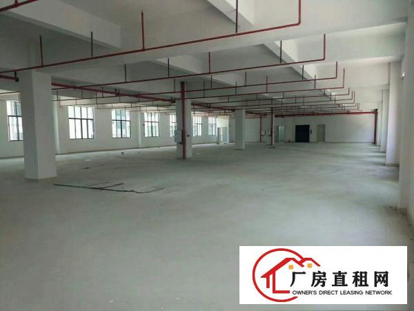 
惠州惠阳区原房东独院厂房6600平11200平出租