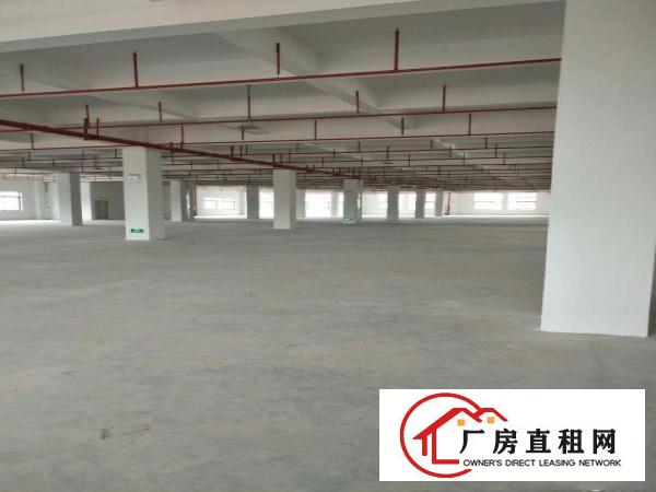
横岗独院一楼厂房500平850平1600平出租