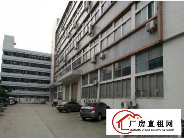 
龙岗六约，标准厂房一楼430平，带办公室装修
