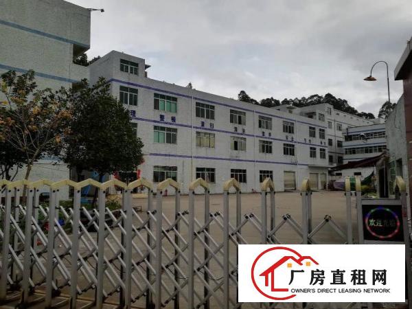 
横岗新出标准独院厂房7800平，精装修近高速地铁