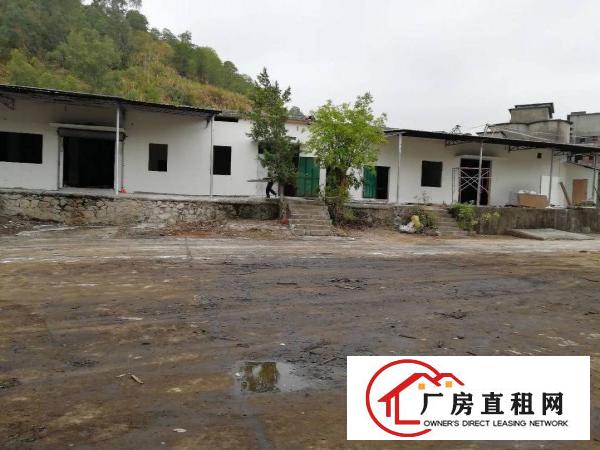 
横岗新出超大空地，钢构厂房便宜出租，近地铁站