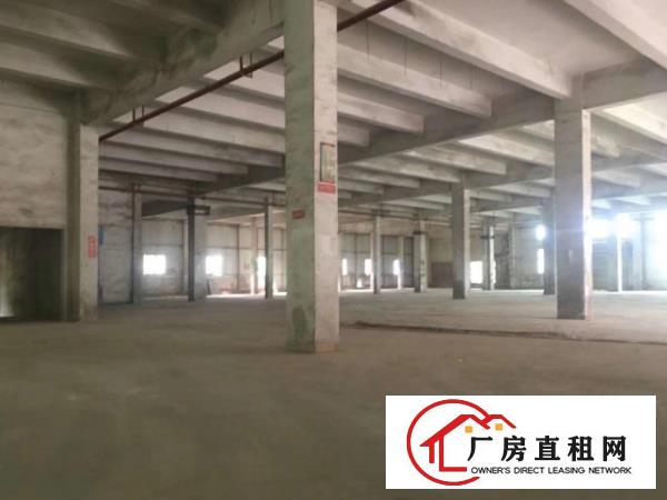 
出租横岗原房东一楼厂房2800平可做物流及印刷等
