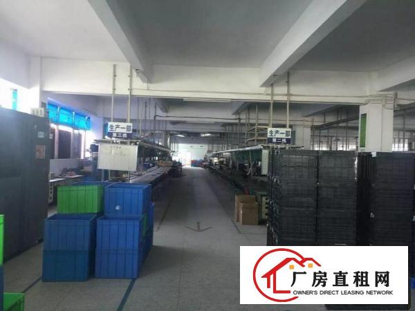 
横岗新出大康社区3楼3000平方厂房2部3吨电梯