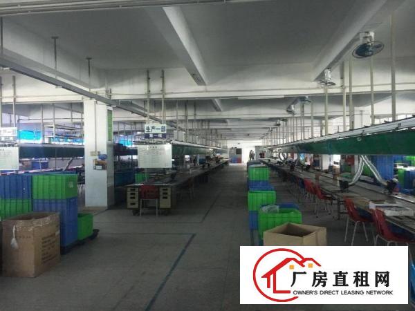 
横岗新出大康社区3楼3000平方厂房2部3吨电梯