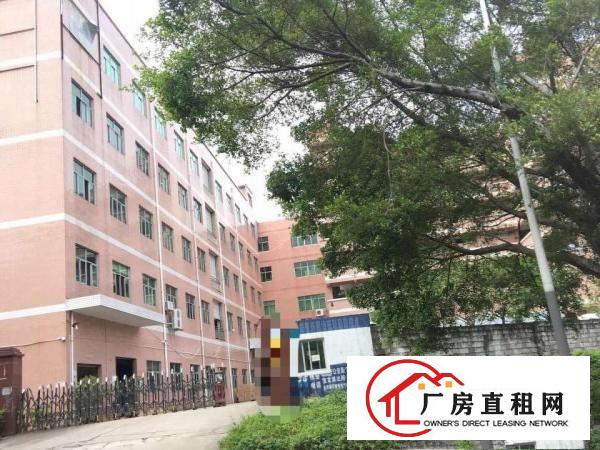 
横岗大康社区精装修厂房单层面积1000平方