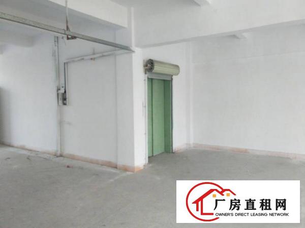 
红棉路边原房东带装修二楼招租