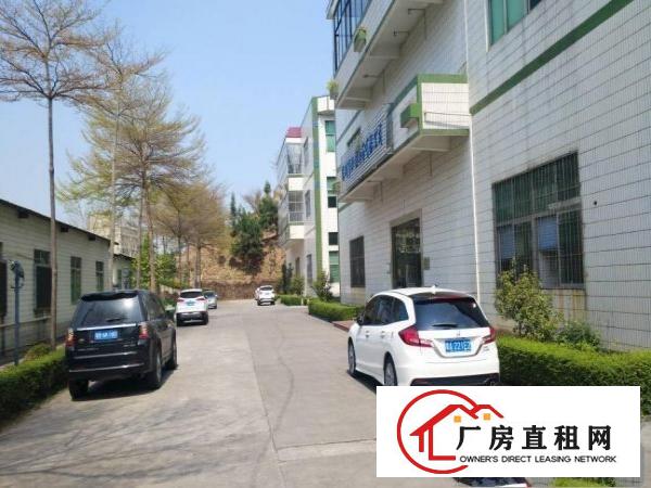 
横岗四联原房东标准厂房招租