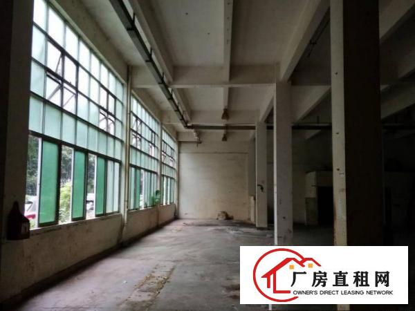 
横岗惠盐路附近原房东一楼招租