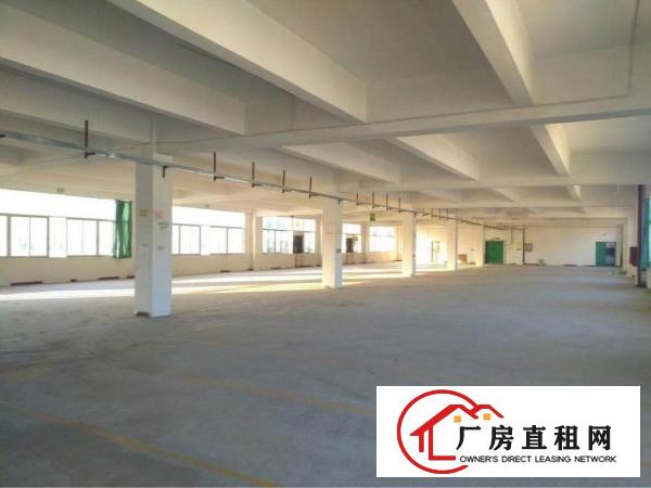
横岗大康原房东一二楼680平厂房带装修出租可分租