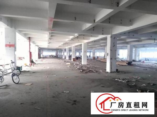 
横岗安良新出2楼带装修带地坪漆有现成办公室3吨货梯