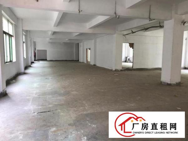 
横岗坳背工业区新出厂房三楼800平方米