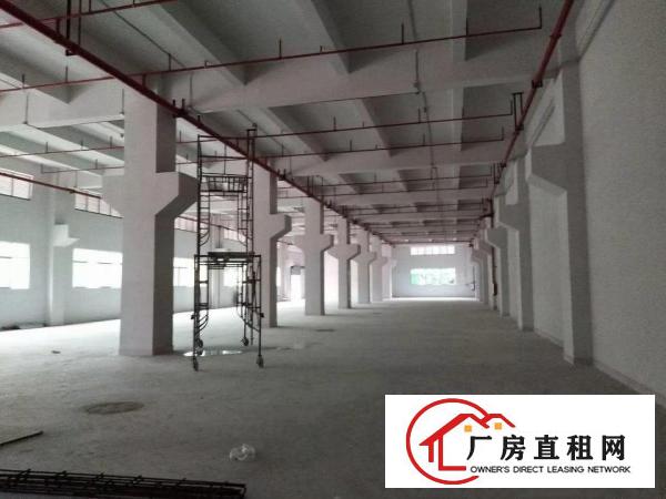 
横岗横坪公路，一楼高度七米带2300厂房出租