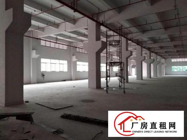 
横岗横坪公路，一楼高度七米带2300厂房出租