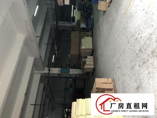 
房东独院厂房10000平米出租（照片真实有效！