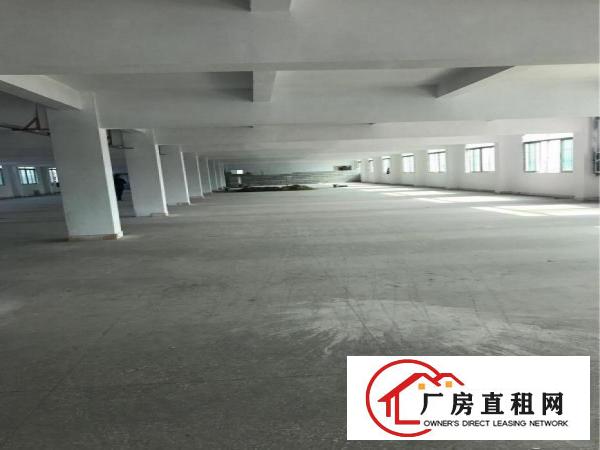 
可做仓库，电商贸易，交通便捷，车位充足