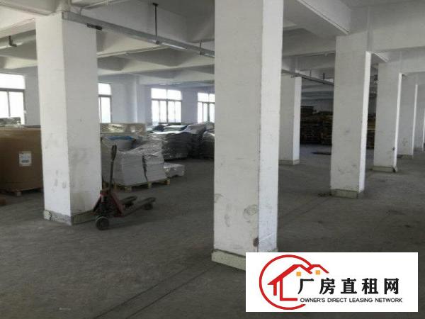 
安良1200平米厂房出租