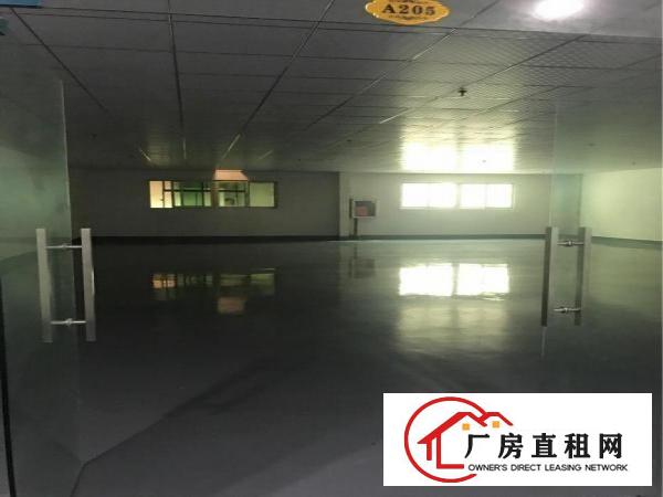 
横岗中心地段写字楼招租，新装修价格优惠交通便利