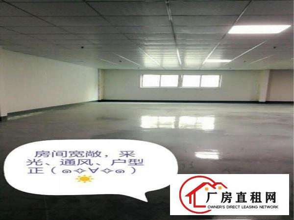 
横岗中心地段写字楼招租，新装修价格优惠交通便利