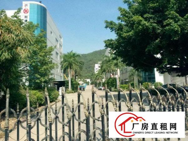 
横岗产业园2250平米精装修厂房招租（免中介！）