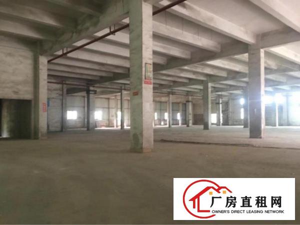
大康328工业区一楼3000平米