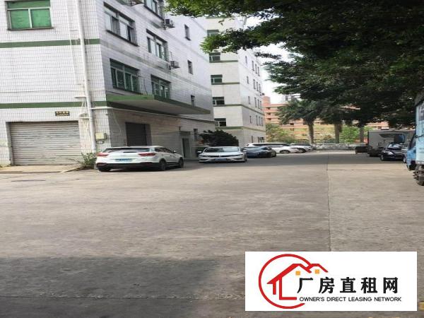 
横岗228工业区2000平米厂房出租