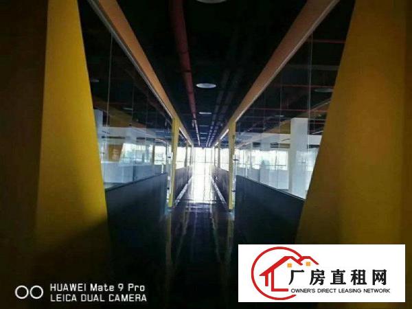 
横岗全新经典3层独院厂房2800平米厂房出租可分租