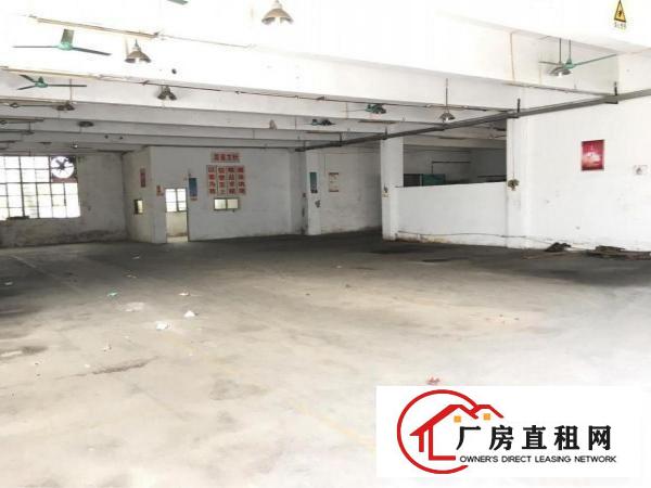 
龙岗同乐新出500平厂房空地大形象好