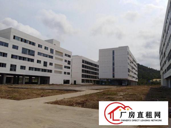 
横岗全新独院厂房57000平方米招租