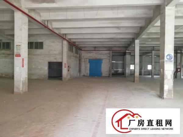 
横岗地铁站后面大型工业园一楼2850平方米招租