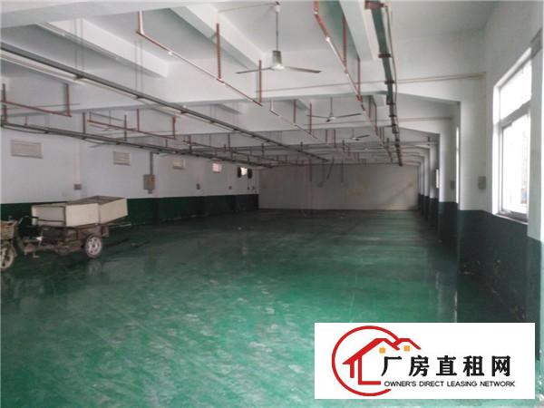 
横岗永湖地铁站边大工业区楼上分租精装460平招租