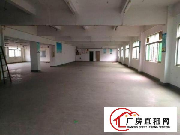 
六约地铁站原房东1200平带装修厂房出租可分租