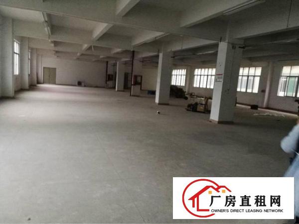 
荷坳地铁口原房东620平带装修厂房出租