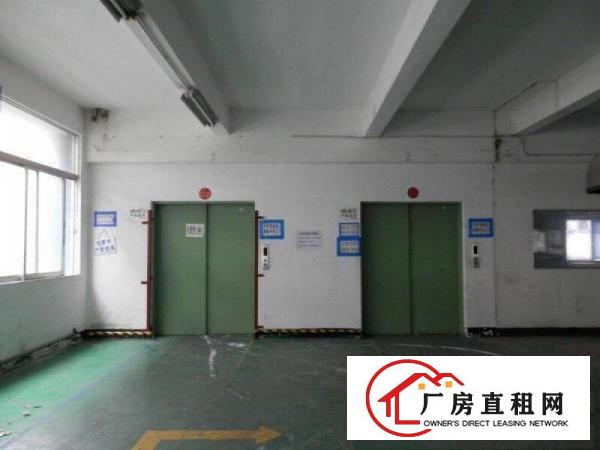 
荷坳地铁口原房东620平带装修厂房出租