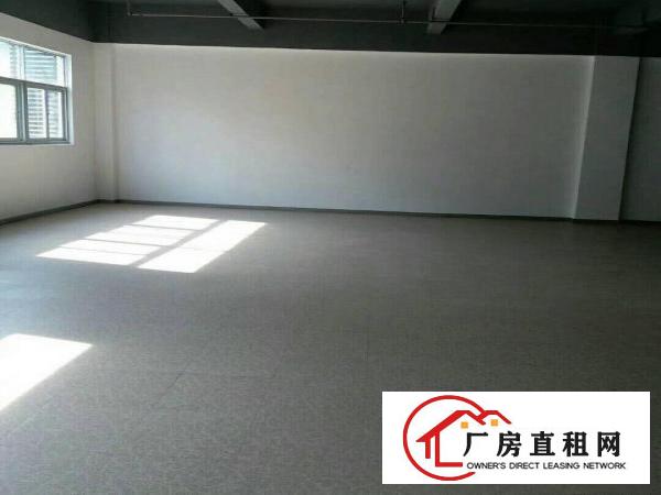 
横岗新出原房东800平带精装修厂房出租