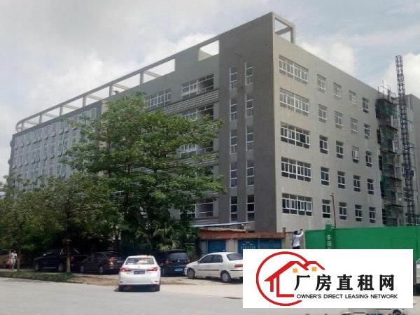 
横岗四联独院带装修1楼1800平厂房出租