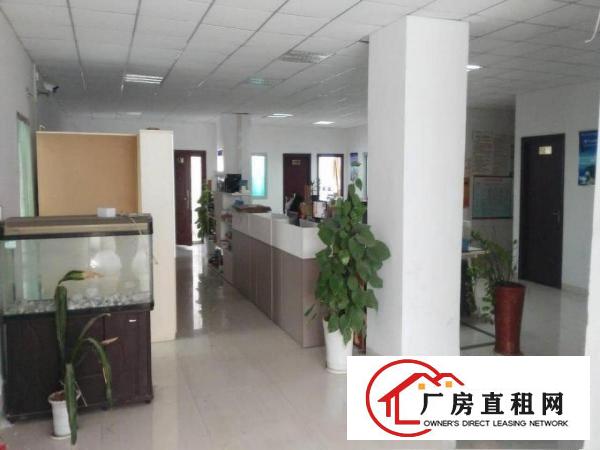
杨美新出2100平方带精装修适合电商办公可分租