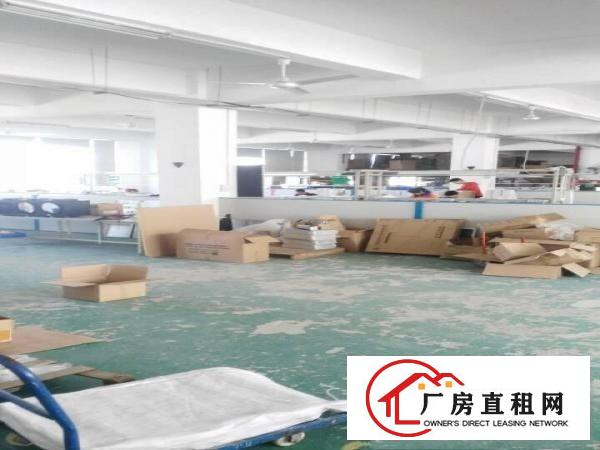 
杨美新出2100平方带精装修适合电商办公可分租