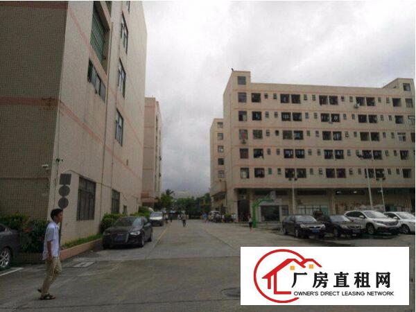 
杨美地铁口附近二楼1300平米带装修出租适合电商