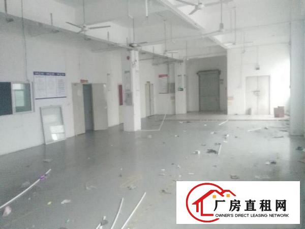 
五和地铁站玻璃隔墙厂房220平起出租