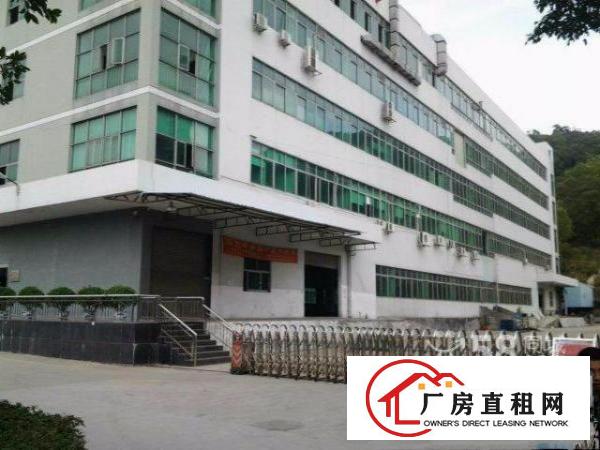 
五和地铁口3楼610平带精装修适合办公贸易=形象好