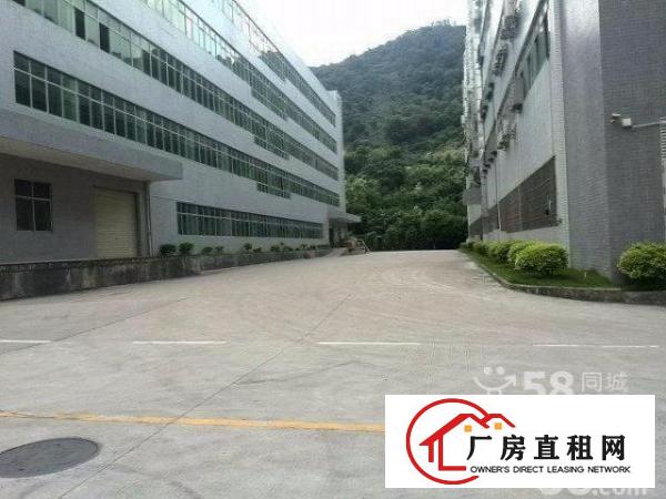 
坂田龙壁工业区新出一楼1200平3楼2400平方
