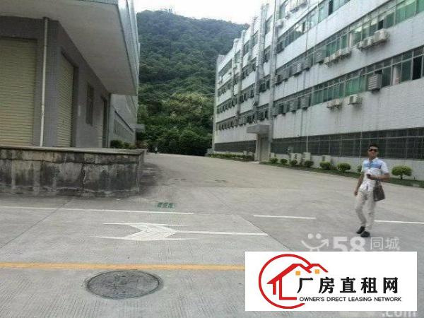 
坂田龙壁工业区新出一楼1200平3楼2400平方