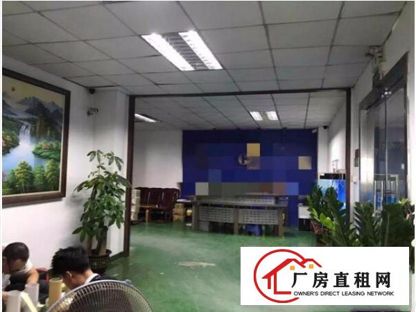 
上雪科技园东区1300平厂房招租可分租