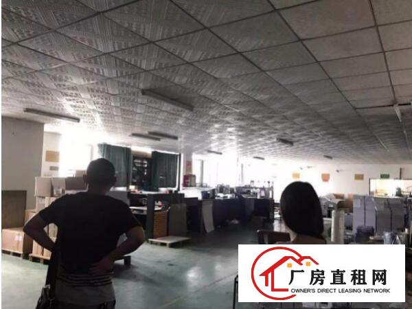 
上雪科技园东区1300平厂房招租可分租