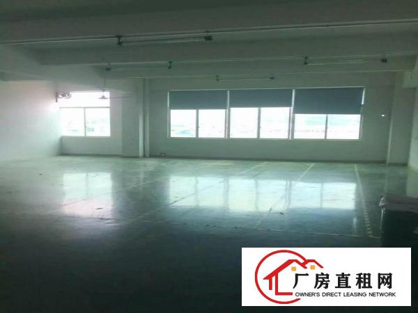 
精品上雪科技园1200平带装修整层厂房吉华路