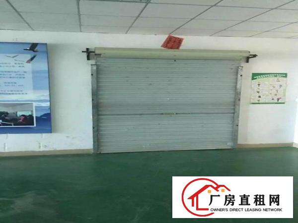 
精品上雪科技园1200平带装修整层厂房吉华路