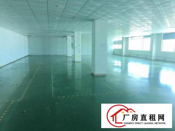 
精品上雪科技园1200平带装修整层厂房吉华路