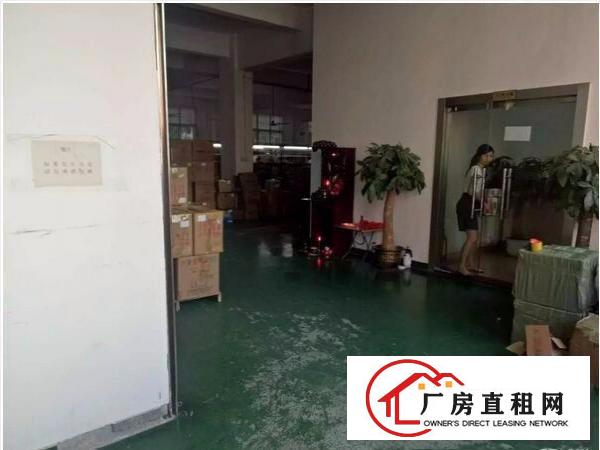 
杨美地铁站附近1260平米带装修厂房出租