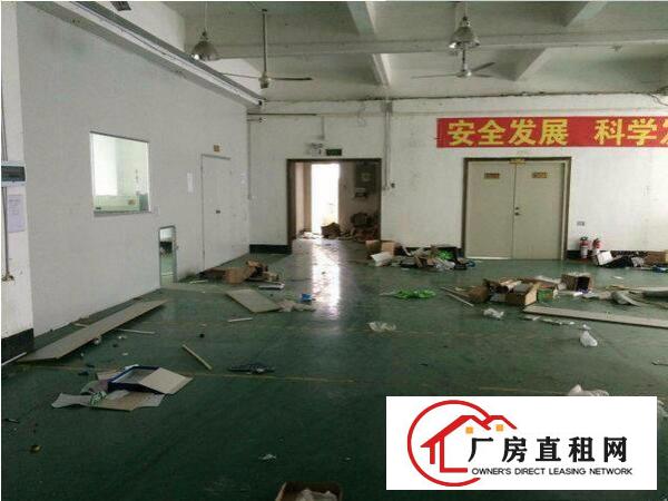 
坂田上雪工业厂房带装修800平方米出租